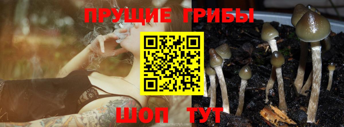 Псилоцибиновые грибы ЛСД  Вход с VPN  Галлюциногенные грибы Magic Shrooms  Великие Луки 